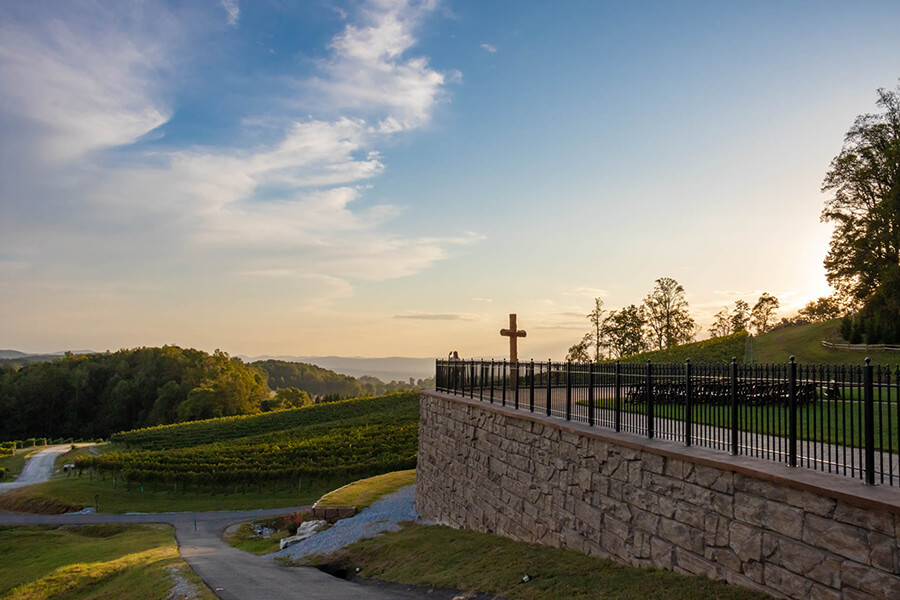 Point Lookout Vineyards