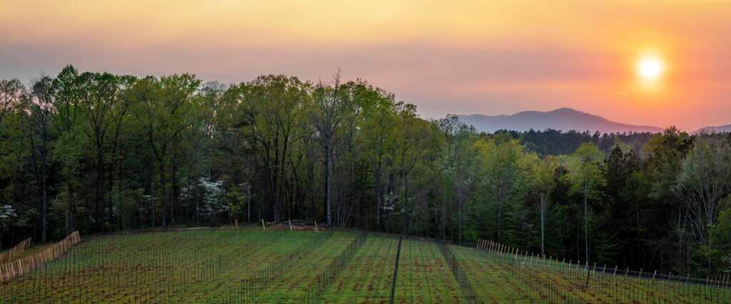 Asheville Wine Tours