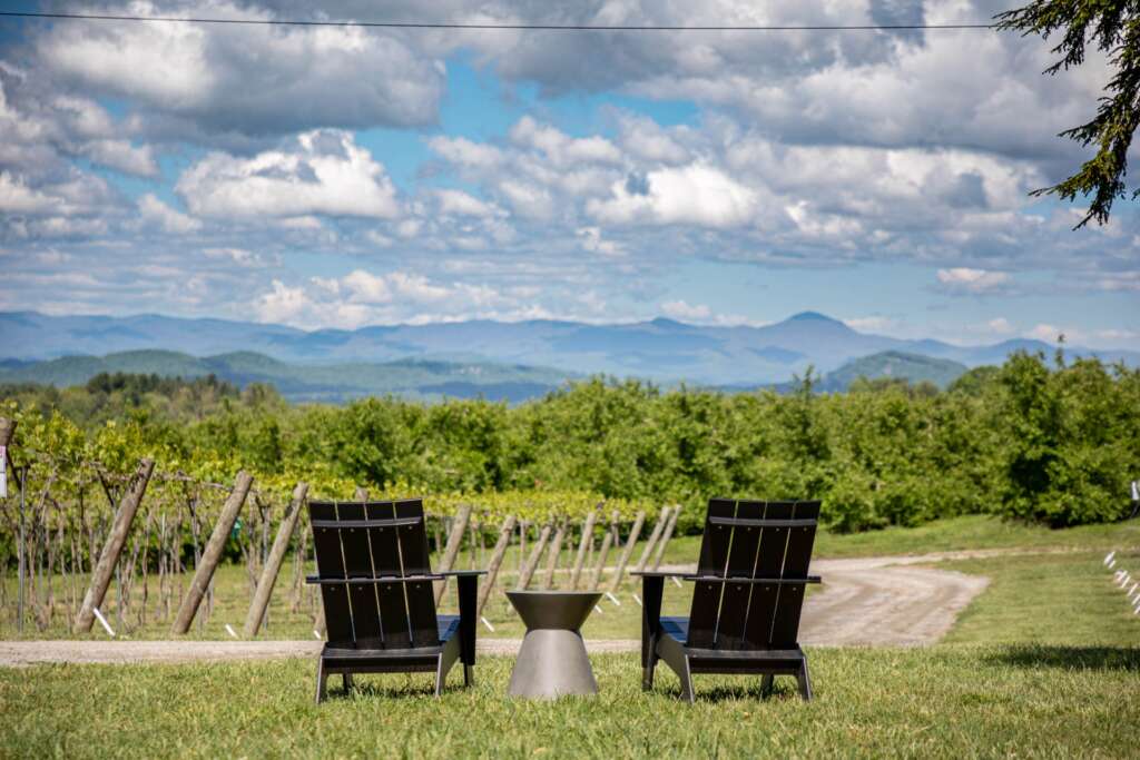 Marked Tree Vineyards