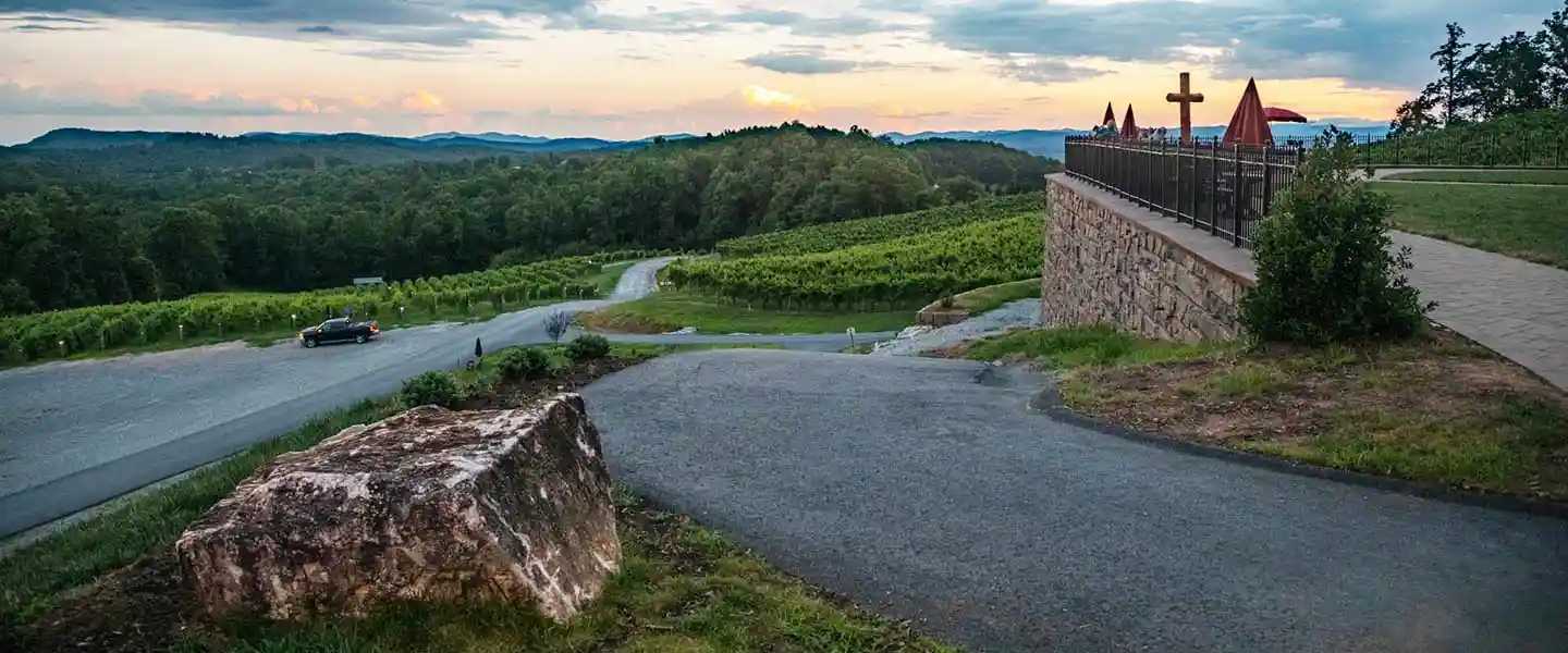Point Lookout Vineyards